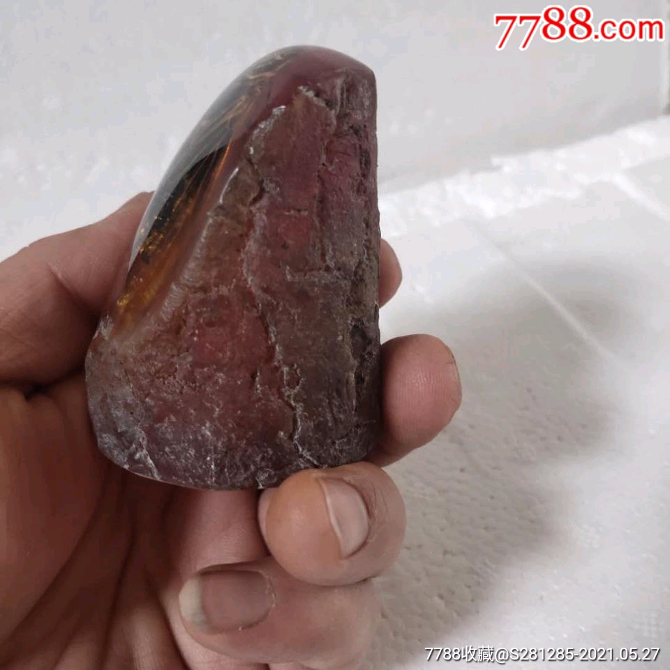 琥珀蜜蜡虫珀蝉鸣知了猴动物标本