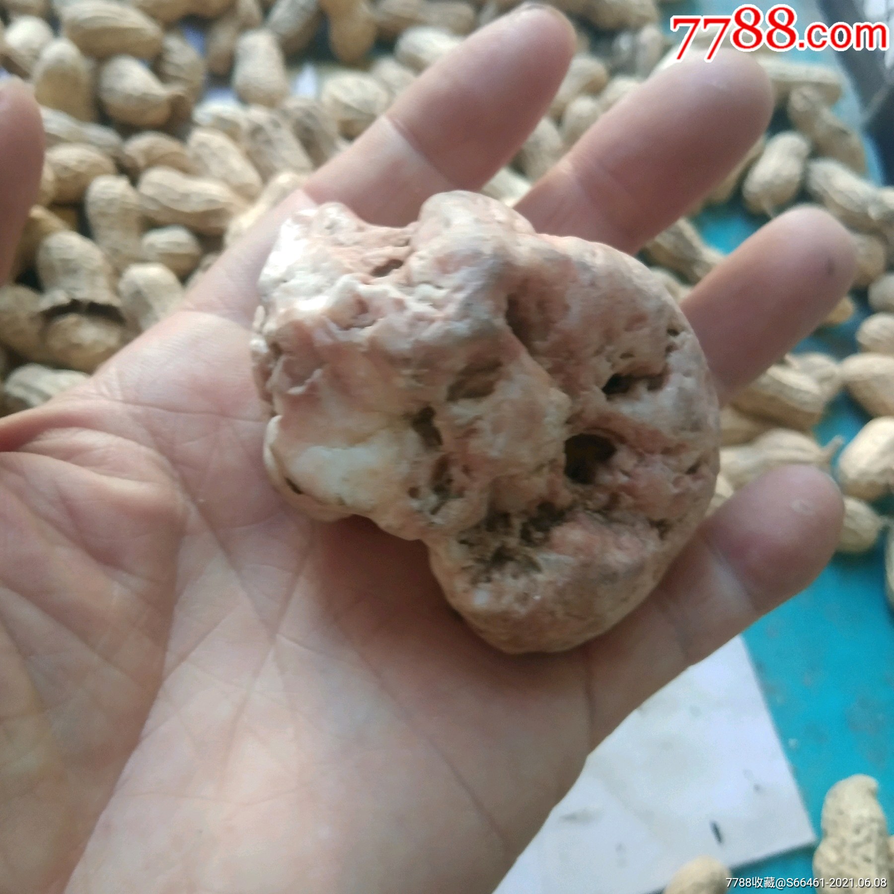 湖里捡到的肉色石头一个