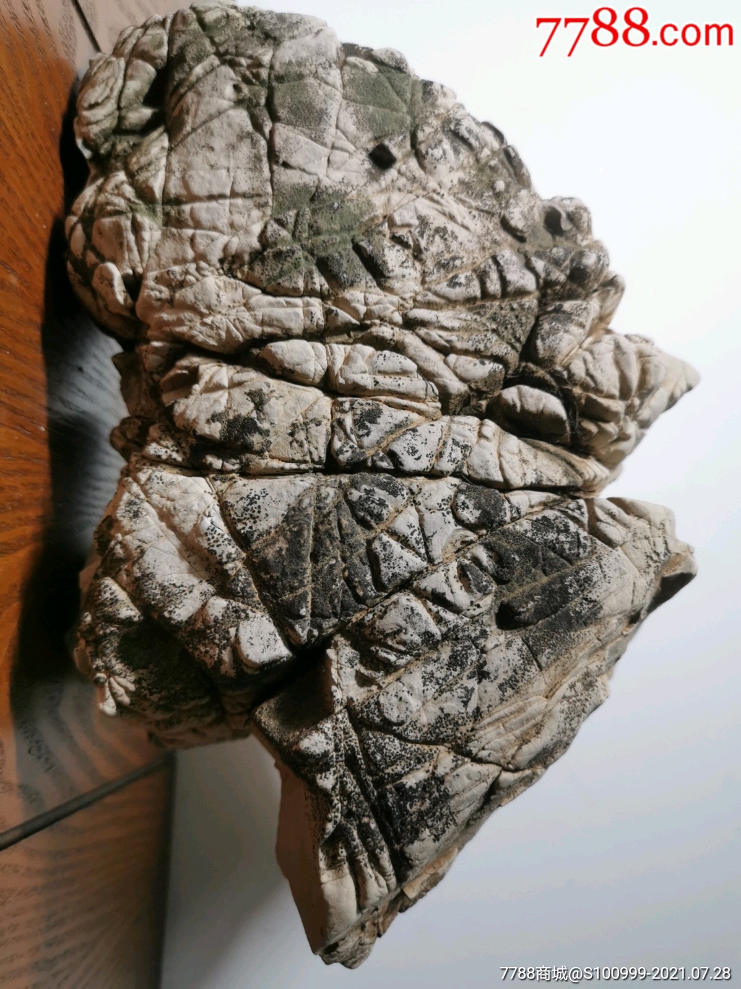 其他奇石/岩石_图片价格_收藏价值_7788钢笔收藏