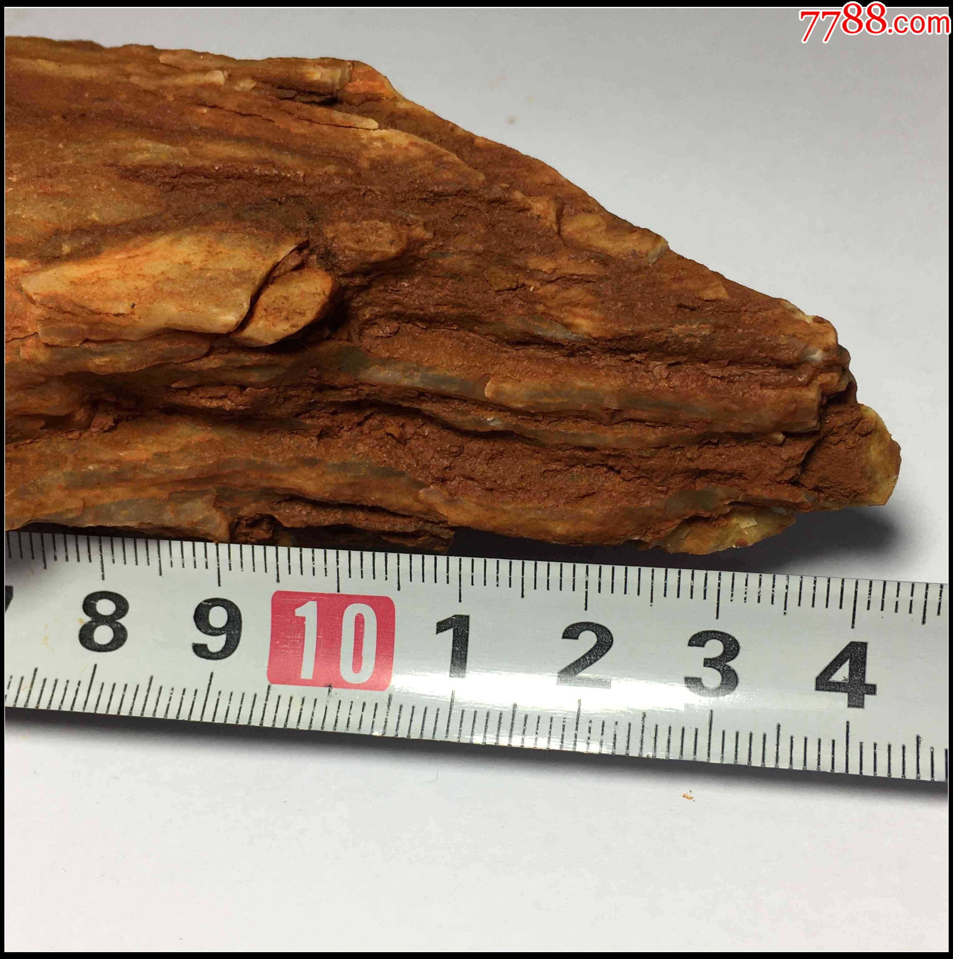 木化石-价格:70元-se93615527-硅化木/木化石-零售-7788收藏__收藏热线