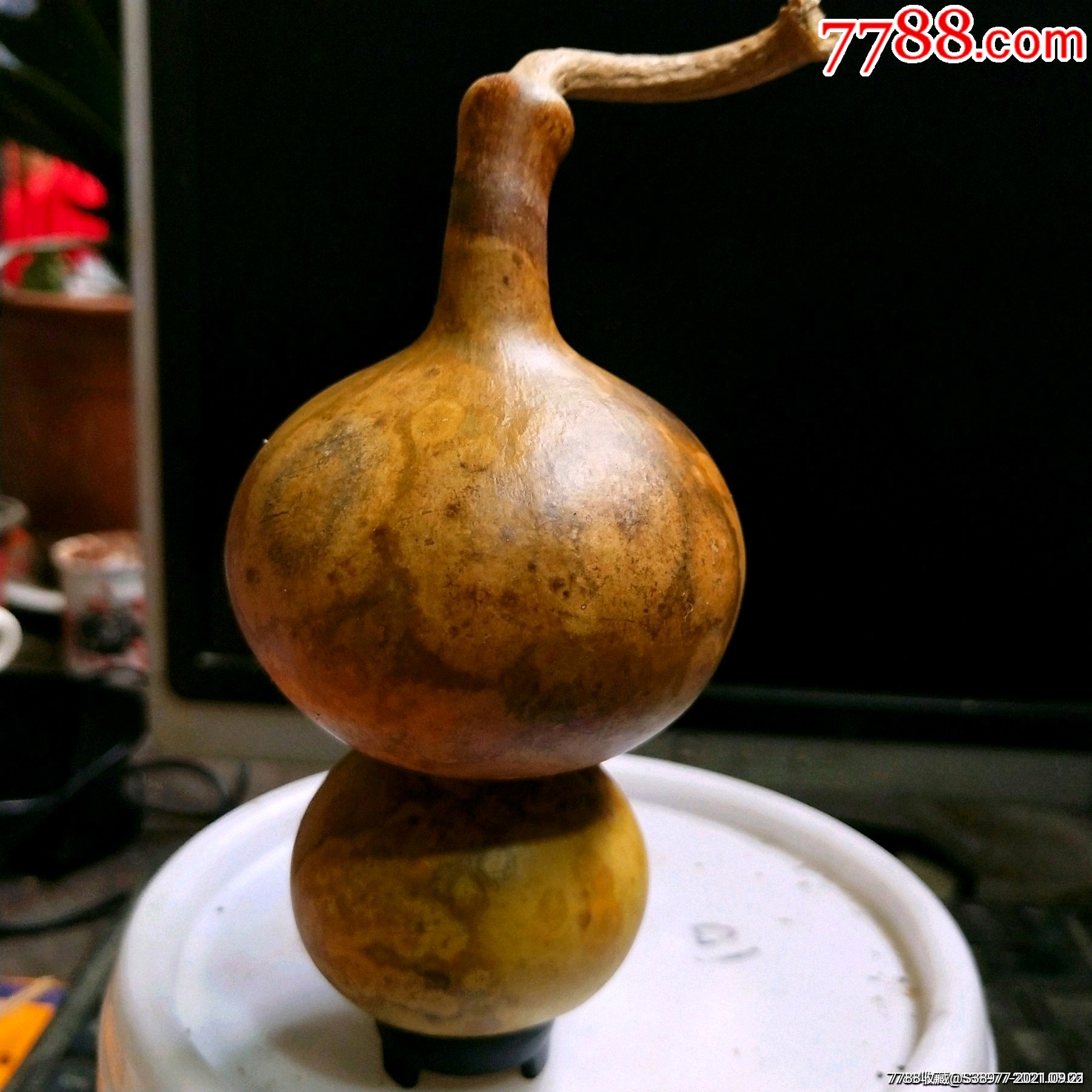 t503花皮葫芦一个_价格37元【圣乐园】_第1张