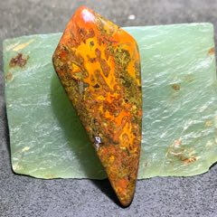 戰(zhàn)國紅瑪瑙草花紋牙型吊墜一個(gè)，
