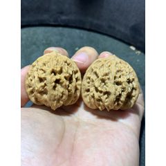 僅此一對，精美霞云嶺獅子頭文玩核桃麻核桃一對！