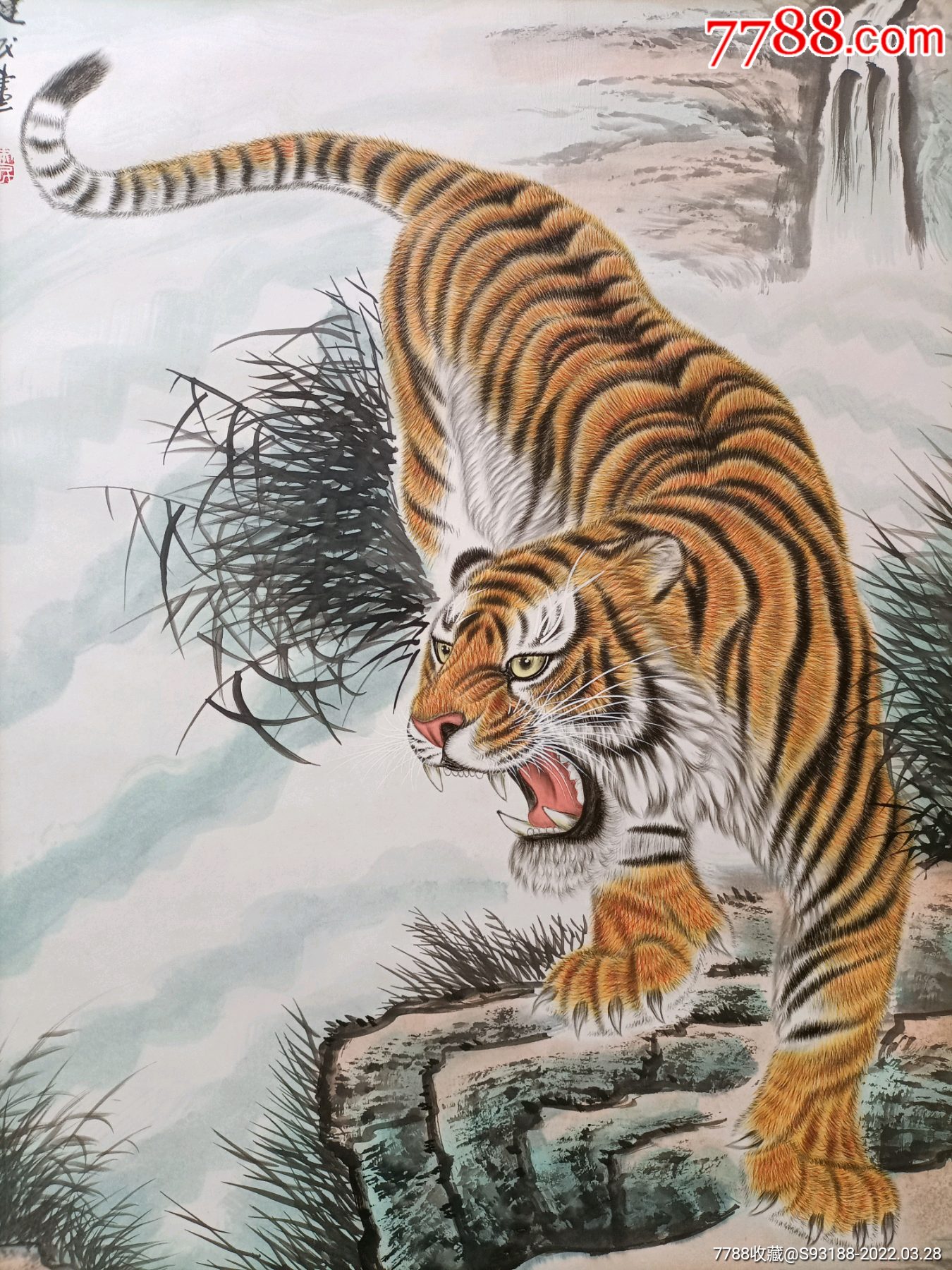 已装裱好的下山虎