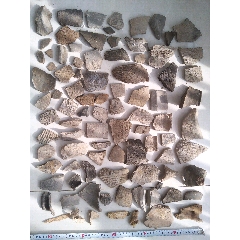 老陶片老獸骨標(biāo)本一堆_