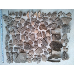 老陶片老獸骨標(biāo)本一堆_