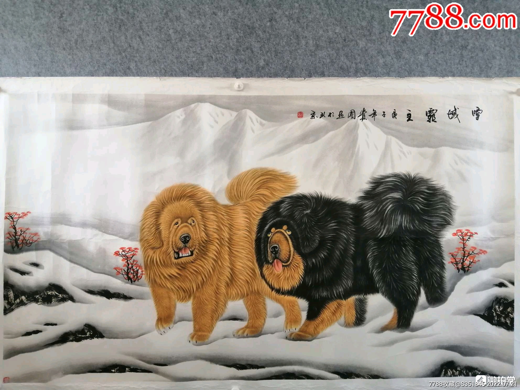 王贵国工笔藏獒尺寸17097