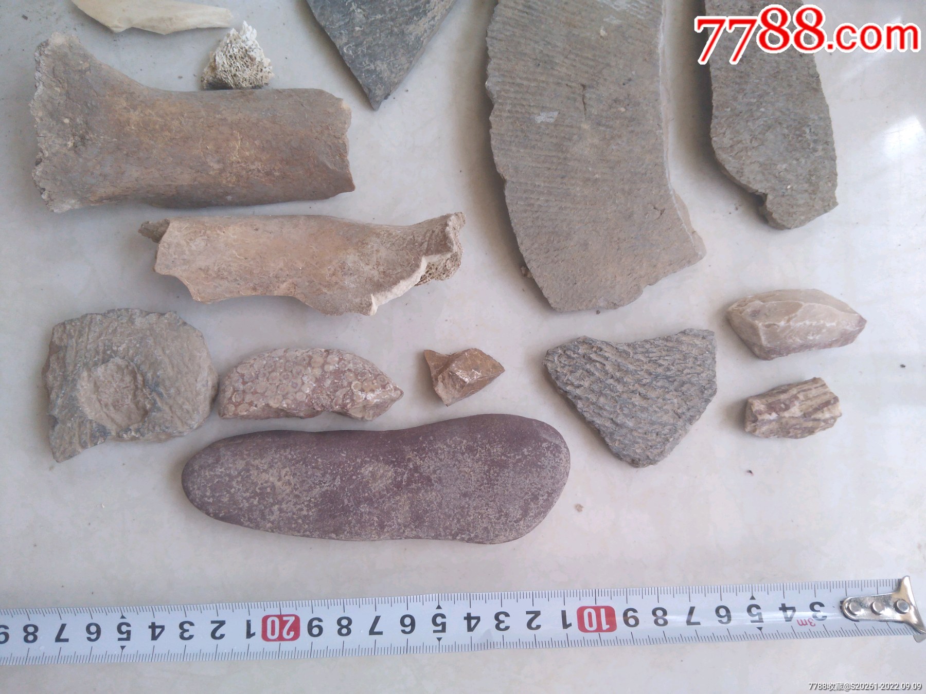 各種陶片獸骨石器標本_價格180元【鞏昌雄鎮(zhèn)】_第2張_