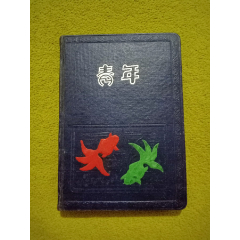 青年筆記本（56年上海華通開關(guān)廠工會）(au31487158)_小林收藏