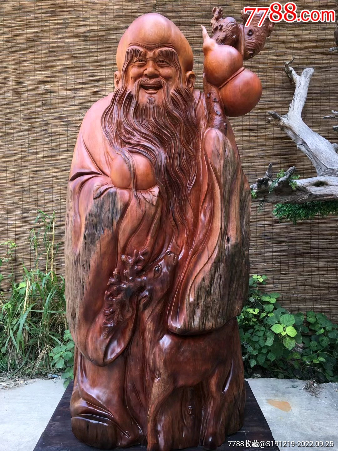 非洲花梨根雕摆件寿星公_价格32800元【桂林睿宝阁】_第1张