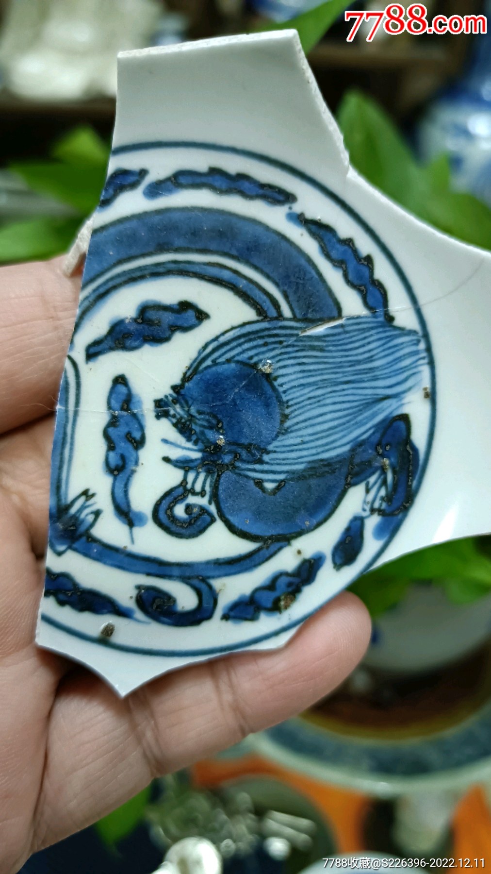 明代,魑龙纹瓷片标本-价格:46元-au32454111-瓷片 -加价-7788收藏__收藏热线