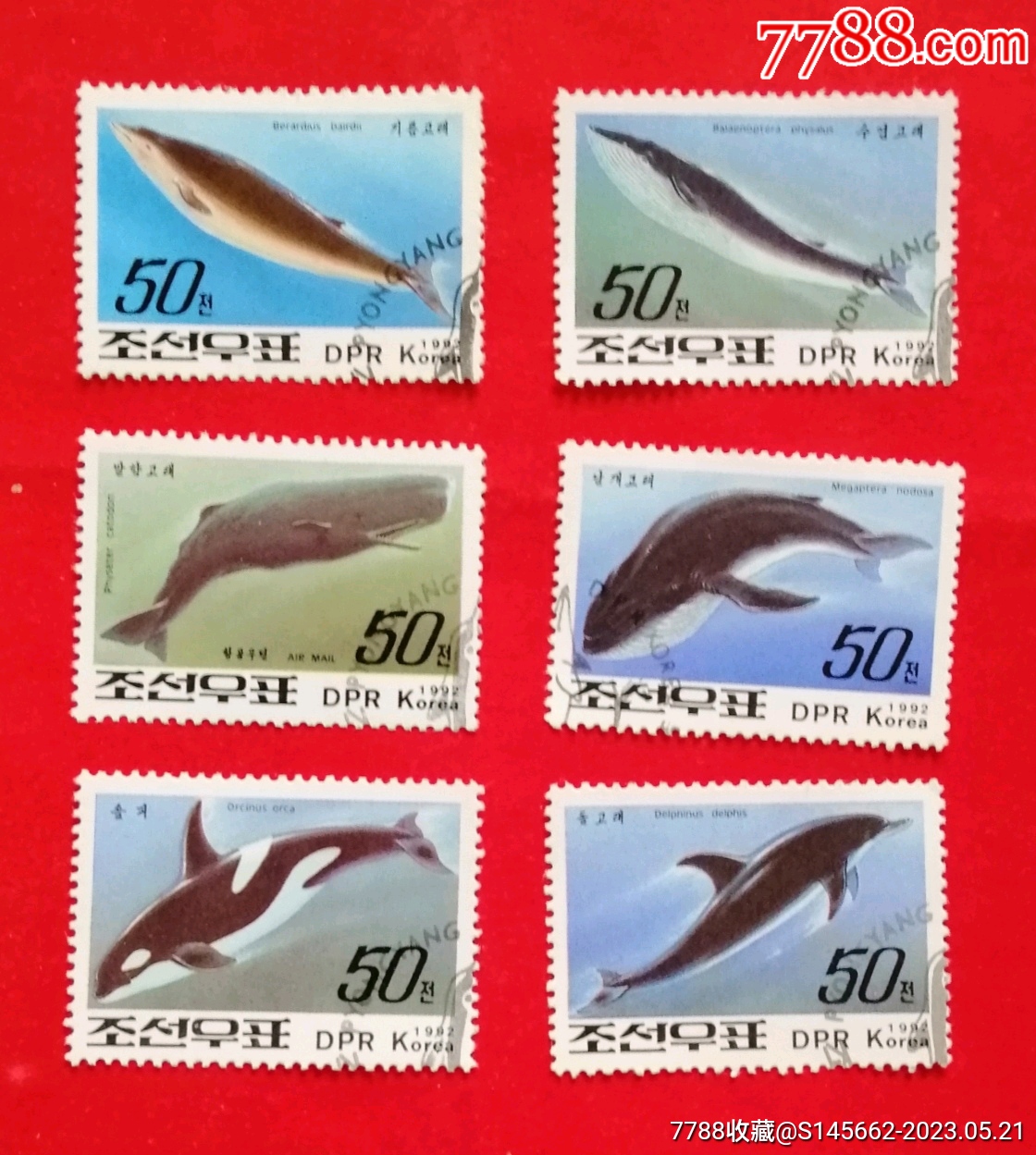 朝鲜邮品(1992年,动物,鱼,)-价格:5元-au34063383-亚洲邮票 -加价