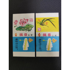 梅县火柴厂花卉2X1_