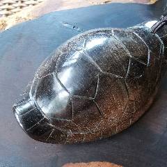 舊藏榮歸故里（榮龜）_