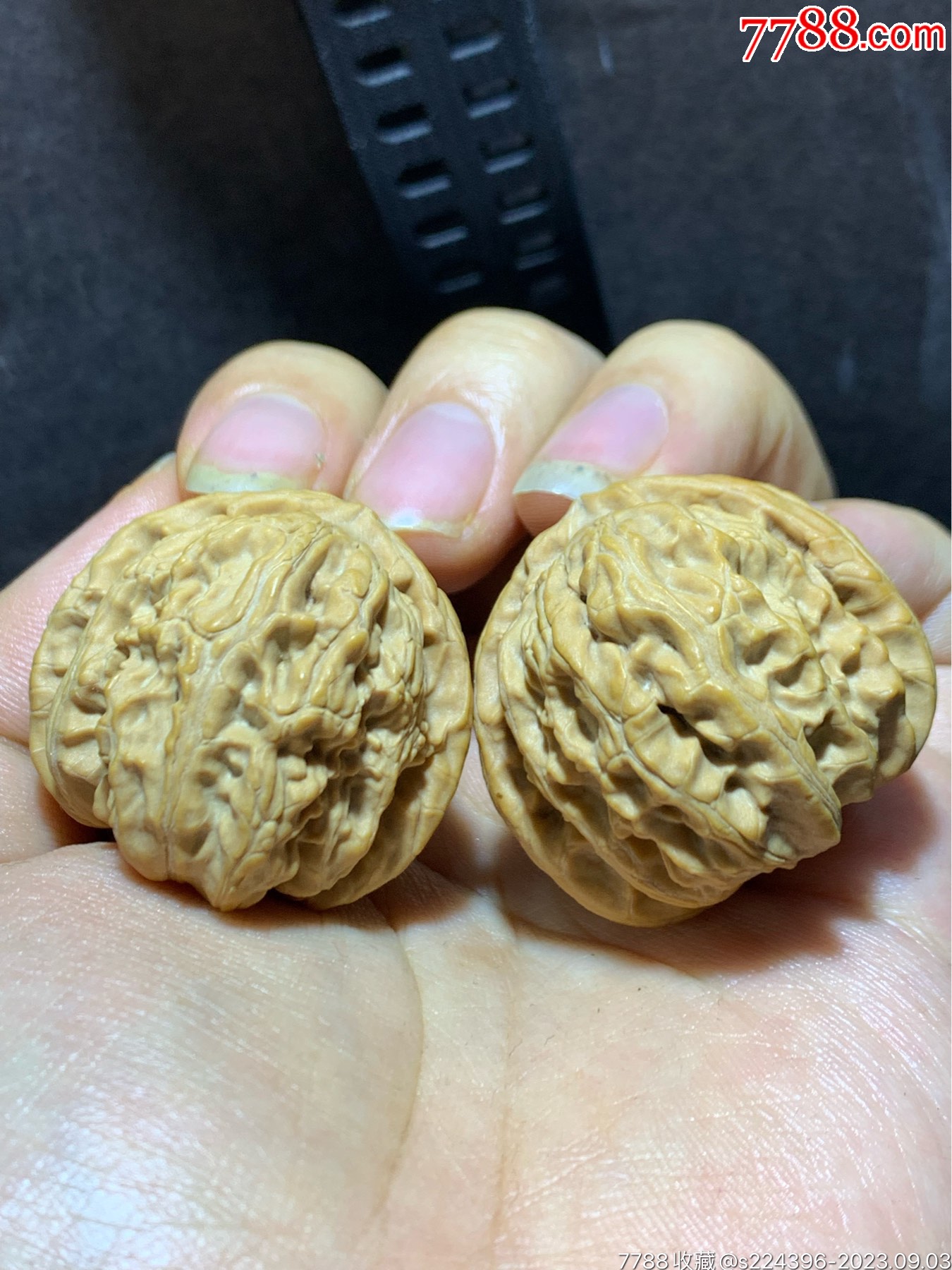 精美老树白狮子文玩核桃一对！_文玩核桃_文玩迷福利社【7788收藏__收藏热线】