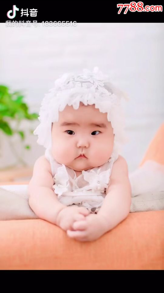 兴民古玩_商店logo_7788收藏__收藏热线