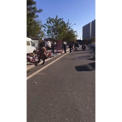 安國古玩市場陰歷1/6集市_7788古玩