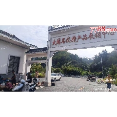 大埔縣古玩城古玩圩_7788古玩