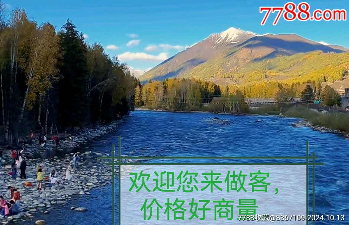 曇花一現(xiàn)店_商店banner_7788收藏__收藏?zé)峋€