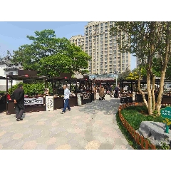 _7788古玩