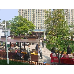 _7788古玩