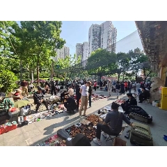 _7788古玩