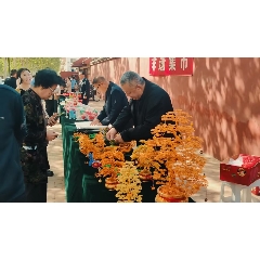 _7788古玩