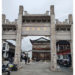 上海顧村菊泉故里集市_7788古玩