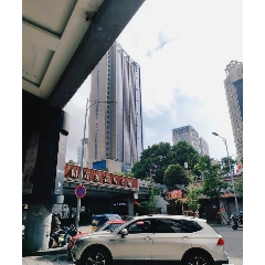 貴陽萬東花鳥市場集市_7788古玩