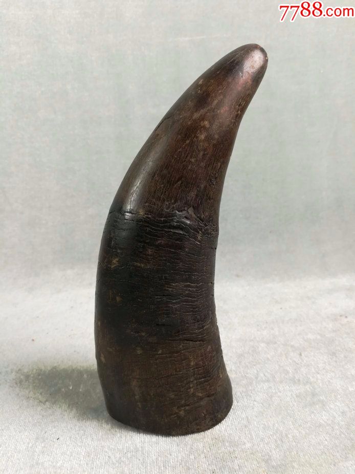 *fwpsecx-手感沉实的老牛角一只,长17公分