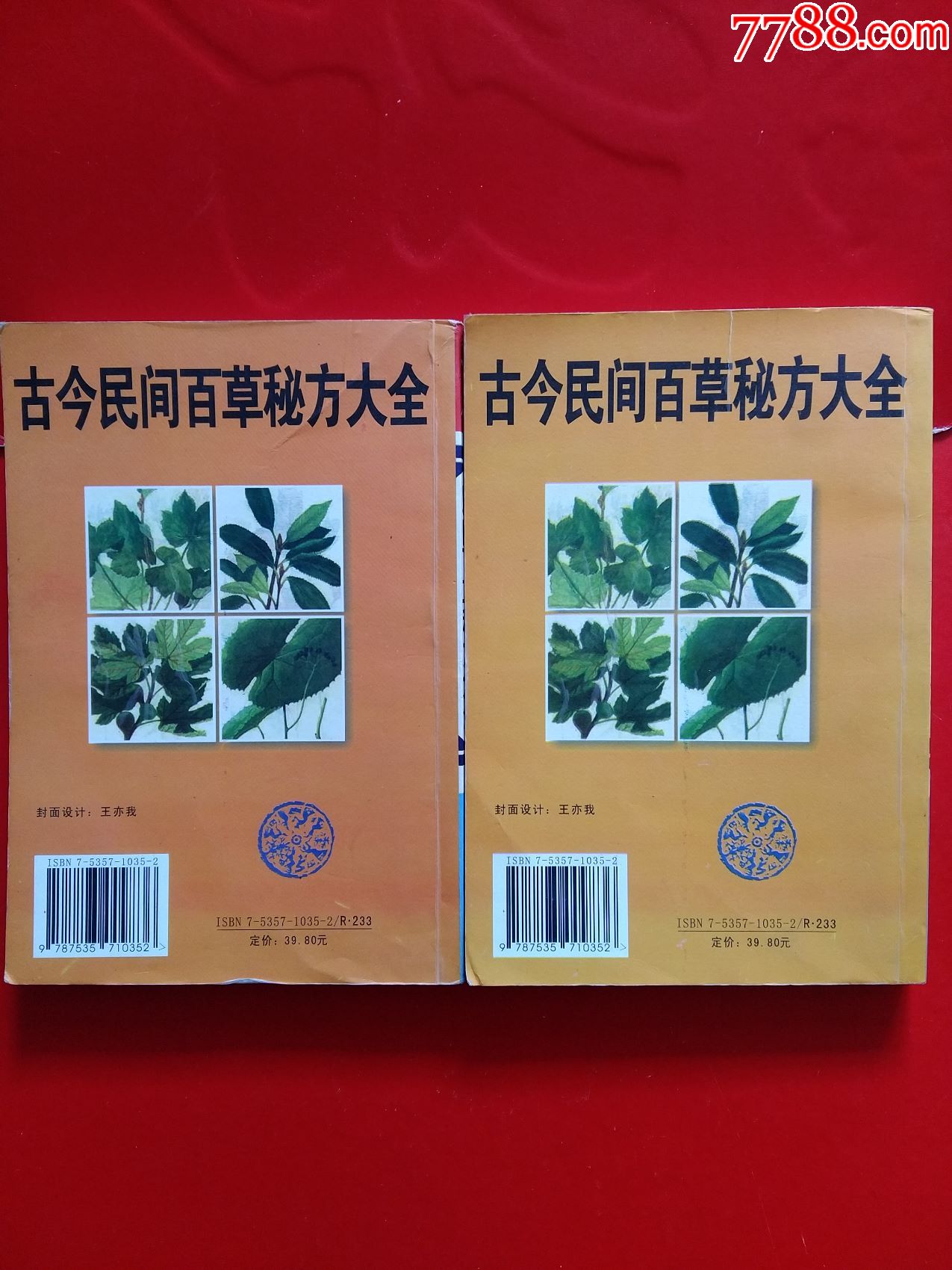 古今民间百草秘方大全(上下)