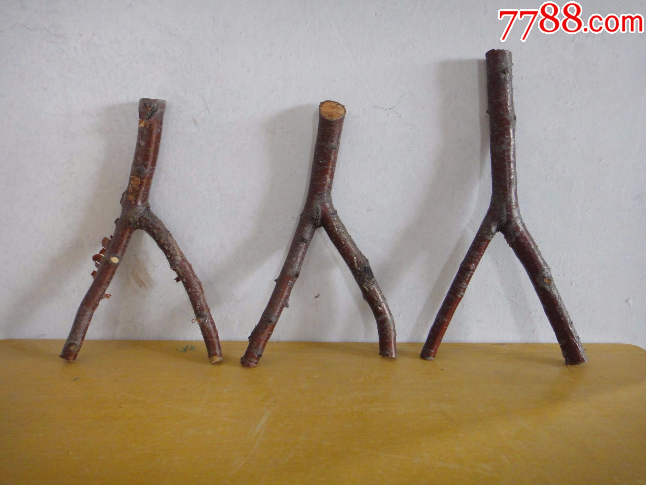 新进太行山"野桃木"弹弓架3个(注:中间一个没有了)