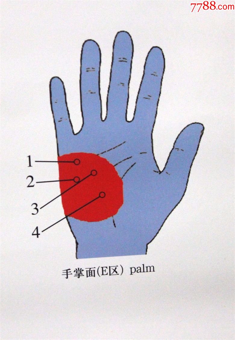 脊柱相关疾病反应点按摩挂图主编:韦贵康北京