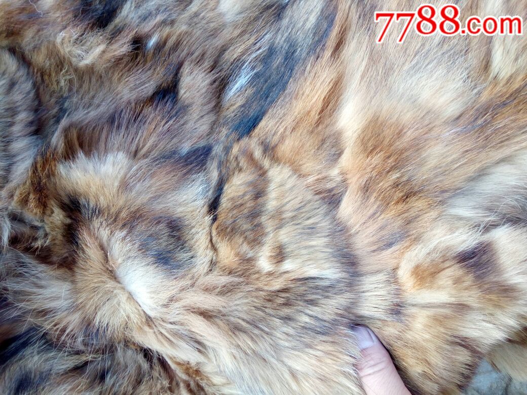 民国女士专用,狐皮大衣