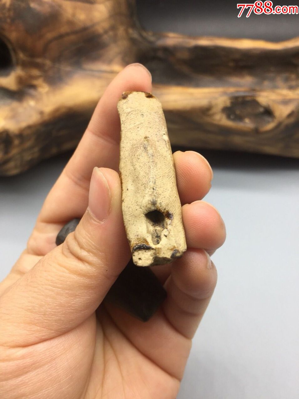 包老哨子两个,分别高5厘米,4厘米,保存完好,可