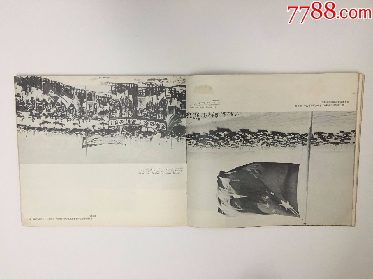 我们必胜!港英必败!-摄影期刊-7788商城__七七