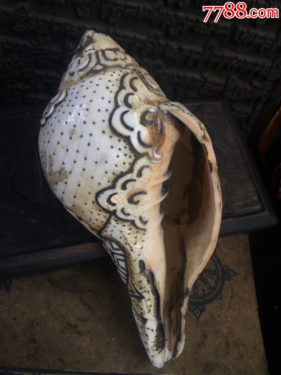 藏传法器手工雕刻白法螺