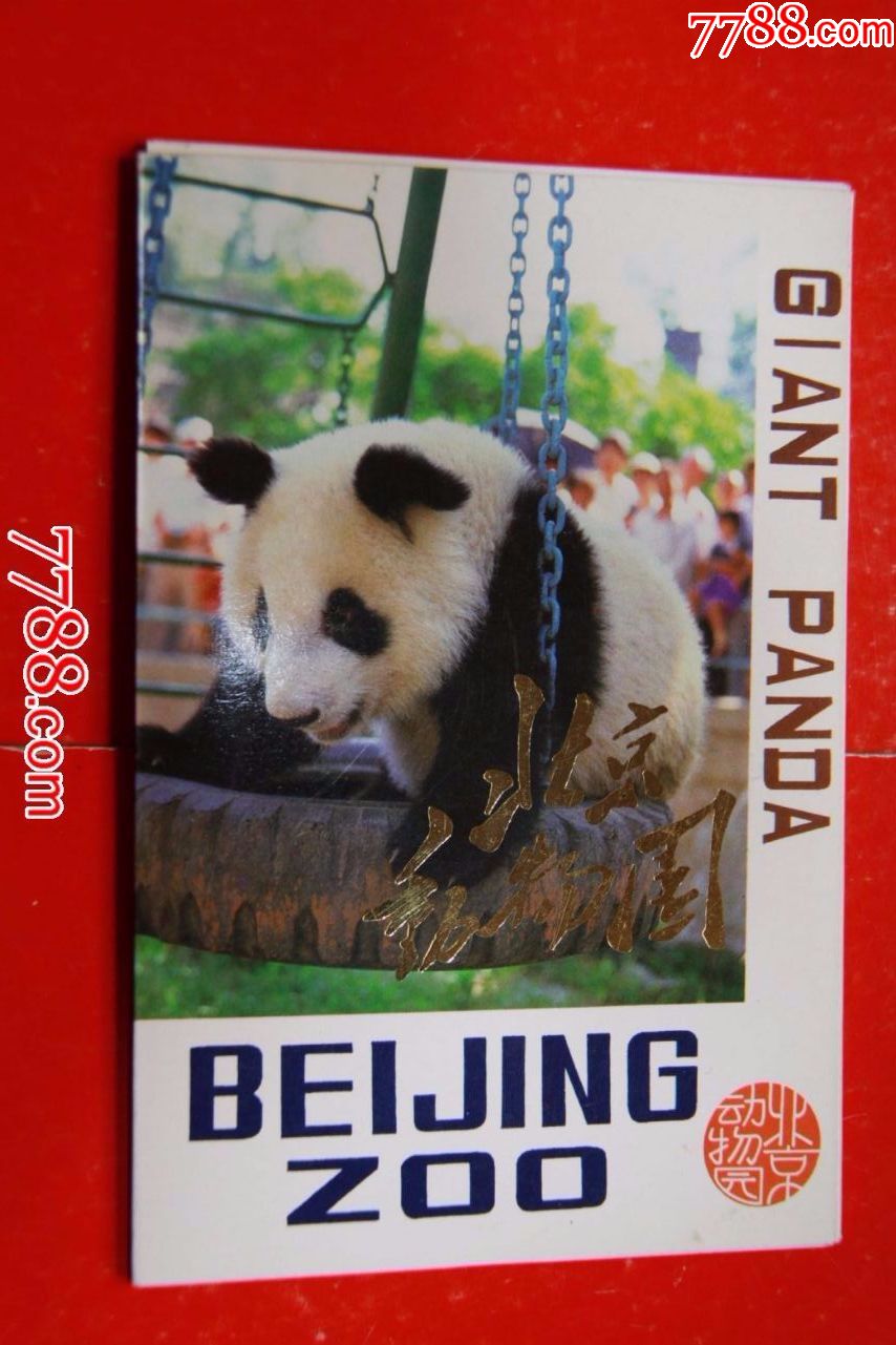 中国大熊猫明信片