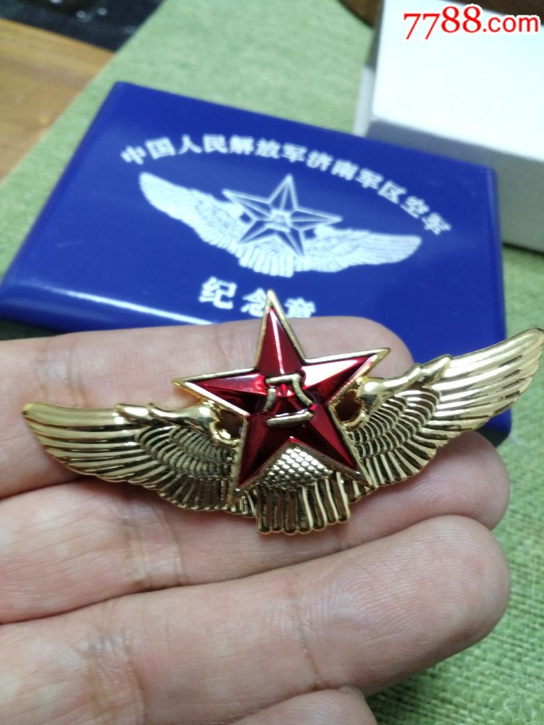 空军航空机务纪念章图片