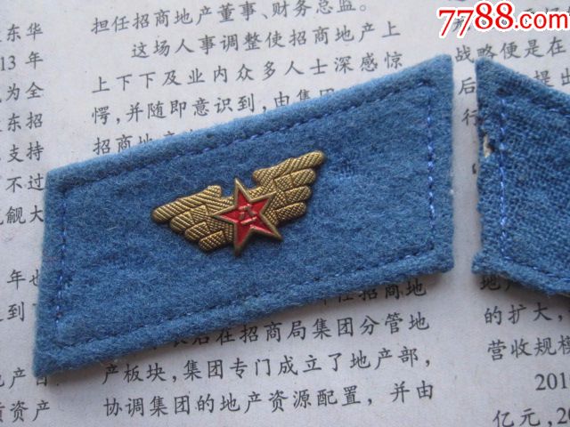 55空军校尉军官通用窄版常服领章一付(中翅符号)