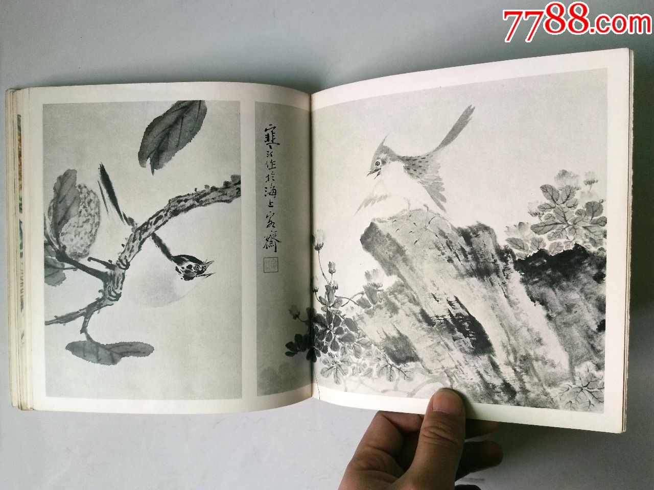 缺本名家画册《江寒汀百鸟图》