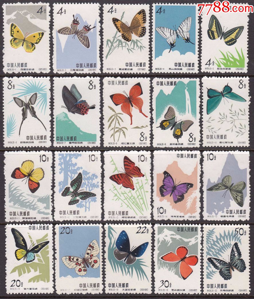 特56,蝴蝶,上品新票,实图