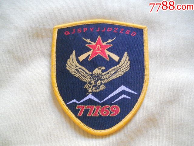 【作废的77169臂章