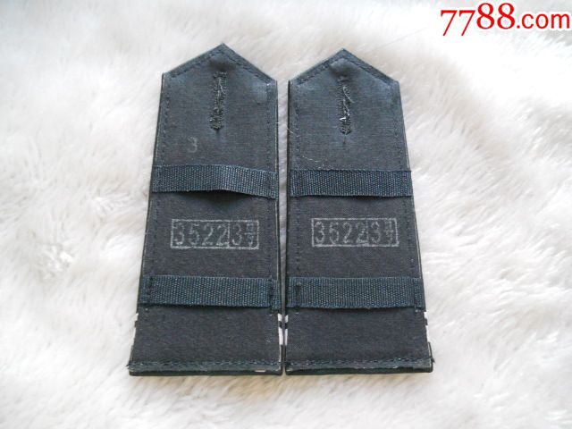 [作废的国土资源监察软肩章(3号)