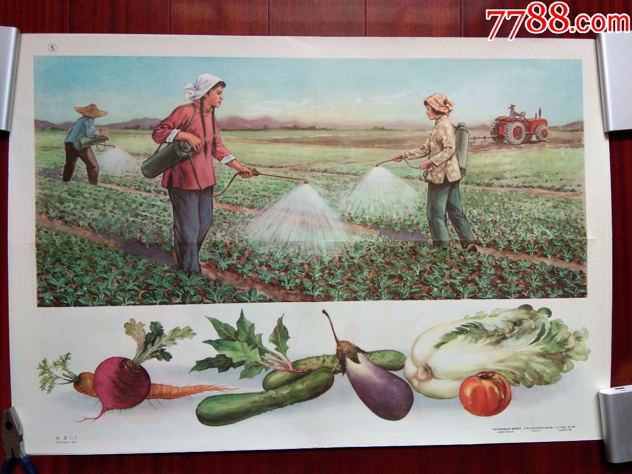 六十年代挂图《农民(二)》.漂亮!