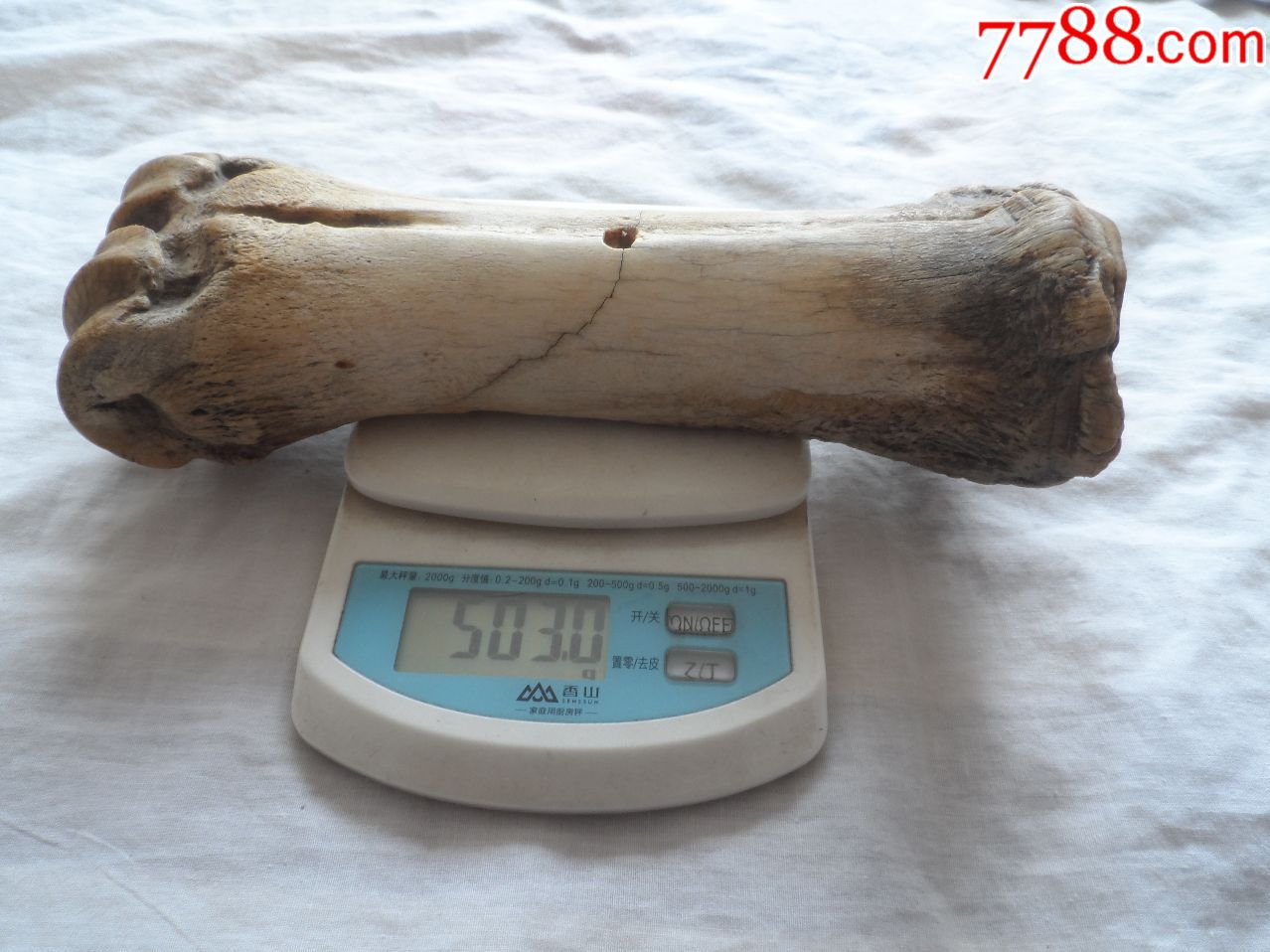 不知道是什么骨头打绳器.吊坠【2018—04—20】