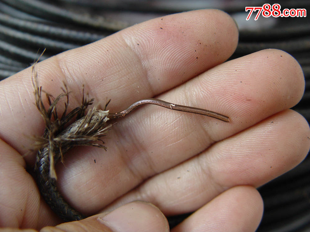 老电线,,老铜线.蛇皮电线.