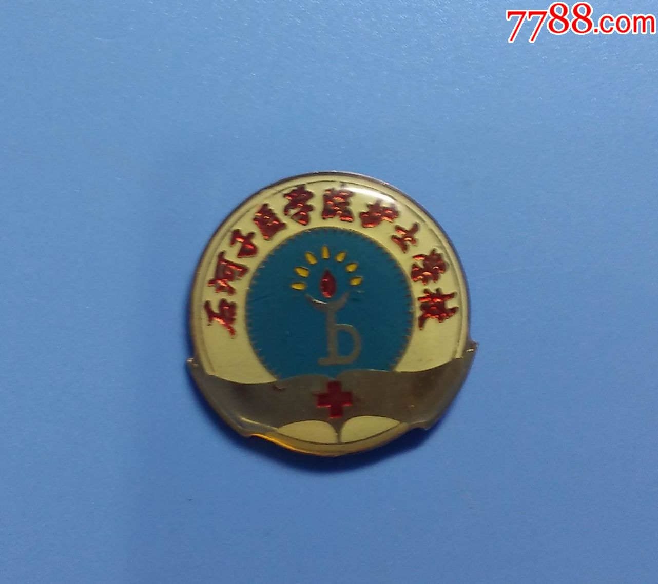 石河子医学院护士学校校徽