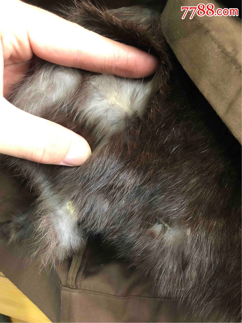 孔雀牌皮毛衣服