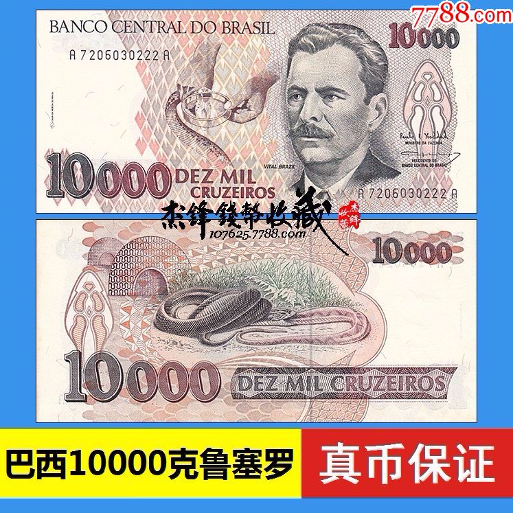 巴西10000克鲁塞罗1993